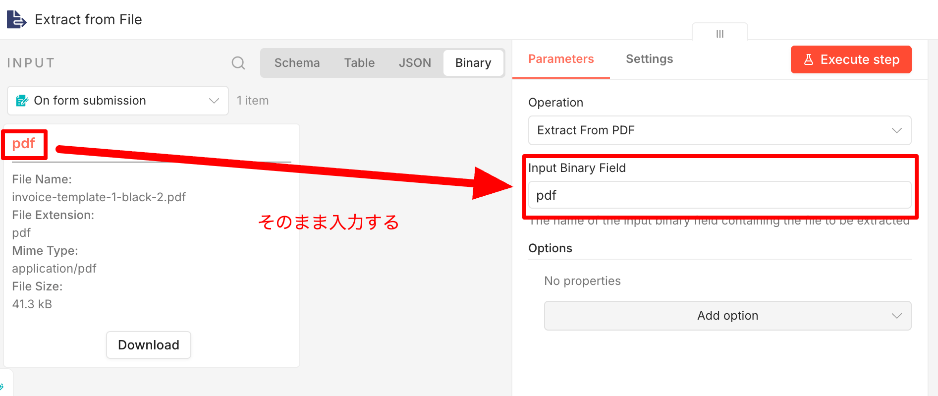 Input Binary Field修正
